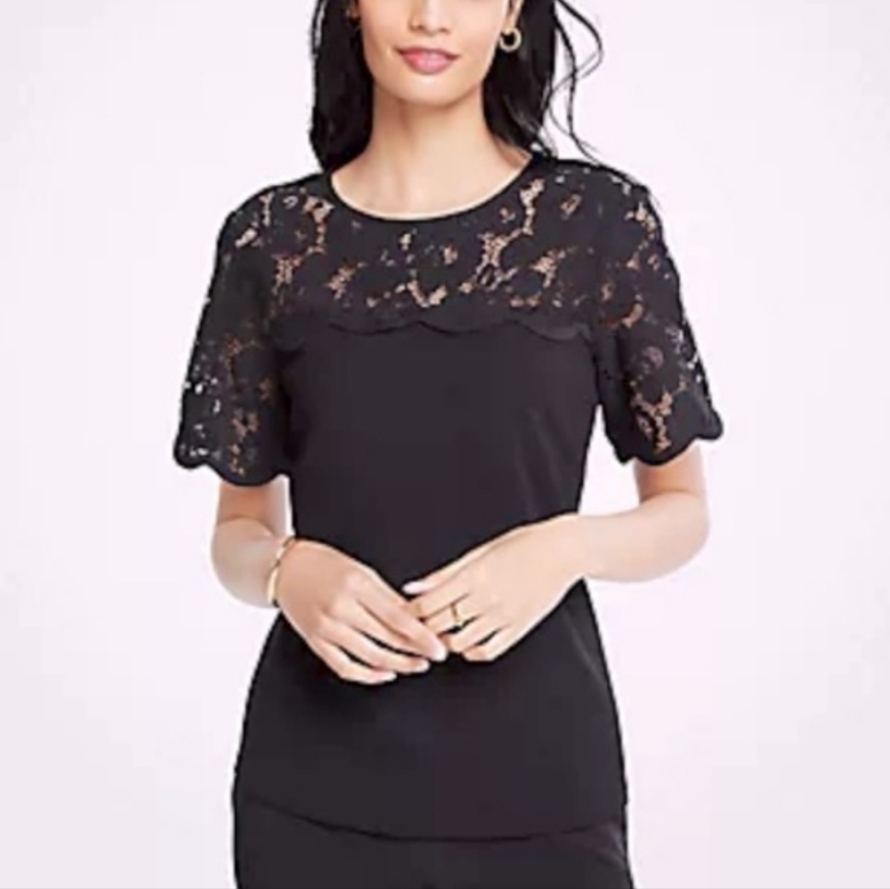 Ann Taylor Yoko Lace Trim Short Sleeve Top Blouse Size XS Office Classic Chic